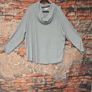 Terra & Sky Women's Light Gray Cowl Neck Sweater, 3X